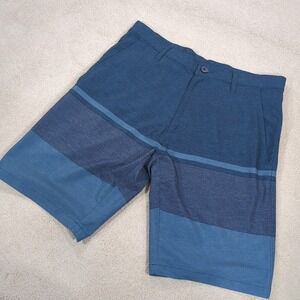 Burnside Board Shorts Mens 32 Blue Striped Unlined Button Zipper 5 Pockets
